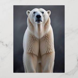 Polar Bear Wildlife Majestic Nature Life Wallpaper Folien Feiertagspostkarte