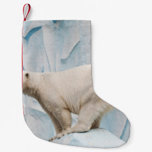 Polar Bear: Zoo Habitat Glimpse Kleiner Weihnachtsstrumpf