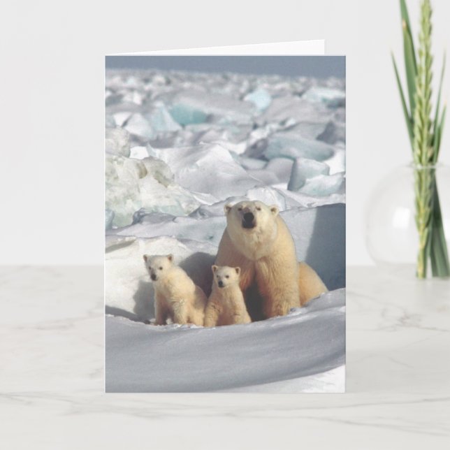 Polar Bears Arctic Wildlife Blank Grußkarte Karte (Vorderseite)