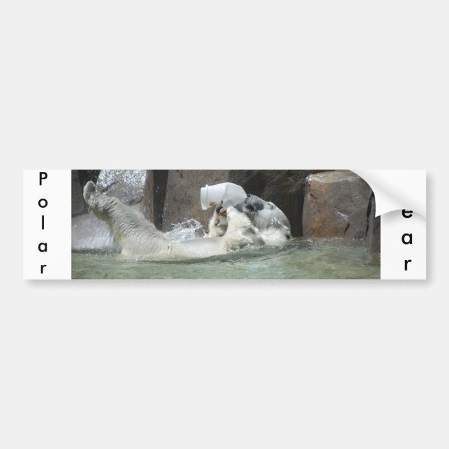 Polar Bears Autoaufkleber (Vorne)