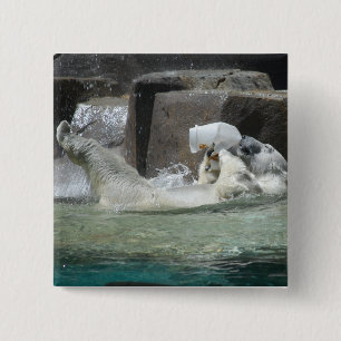 Polar Bears Button