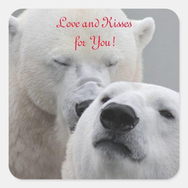 Polar Bears Liebe Quadratischer Aufkleber (Vorderseite)