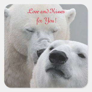 Polar Bears Liebe Quadratischer Aufkleber