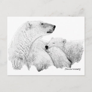 Polar Bears Postkarte