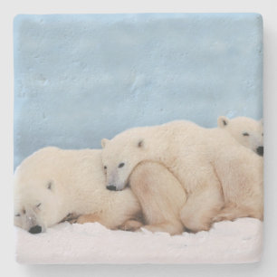 Polar Bears Stone Untersetzer