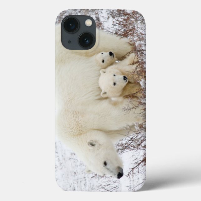 Polar Bears weiblich und zwei Jungen Case-Mate iPhone Hülle (Rückseite)