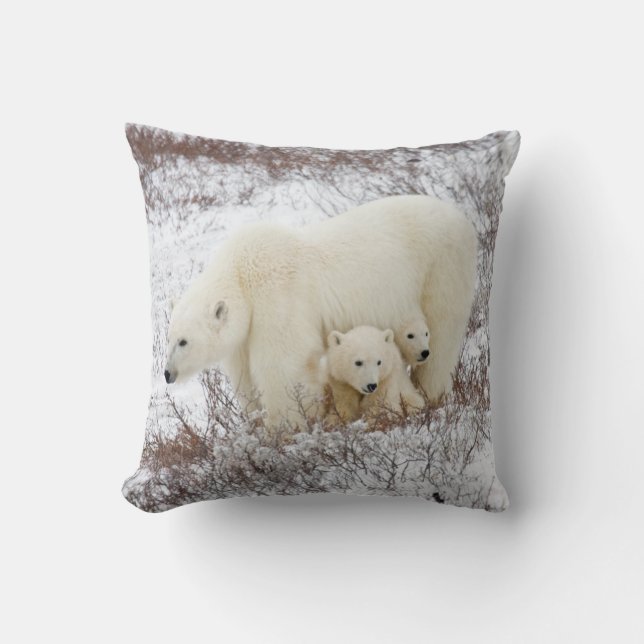 Polar Bears weiblich und zwei Jungen Kissen (Vorderseite)
