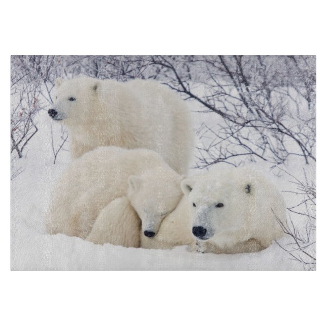 Polar Bears weiblich und zwei Jungen Schneidebrett (Vorderseite)