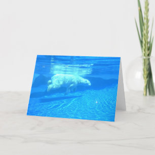 Polar swim karte