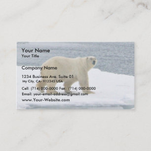 Polar Visitenkarte