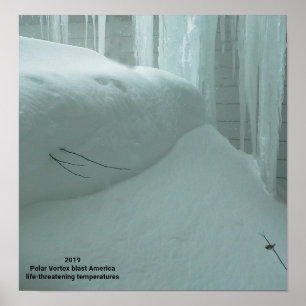 POLAR VORTEX HITS AMERICA 2019 POSTER