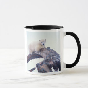 Polarbär auf einem Kieferknochen, Tasse