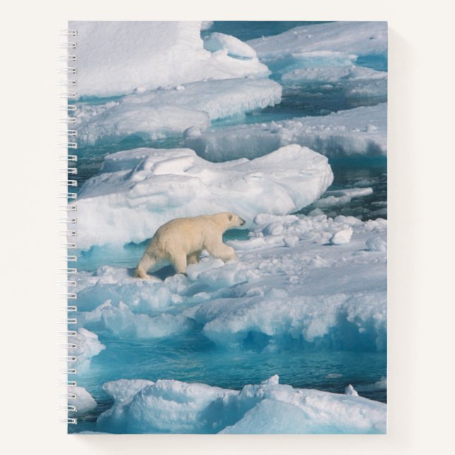 Polarbär, der auf dem Meer spaziert Notizbuch (Vorderseite)
