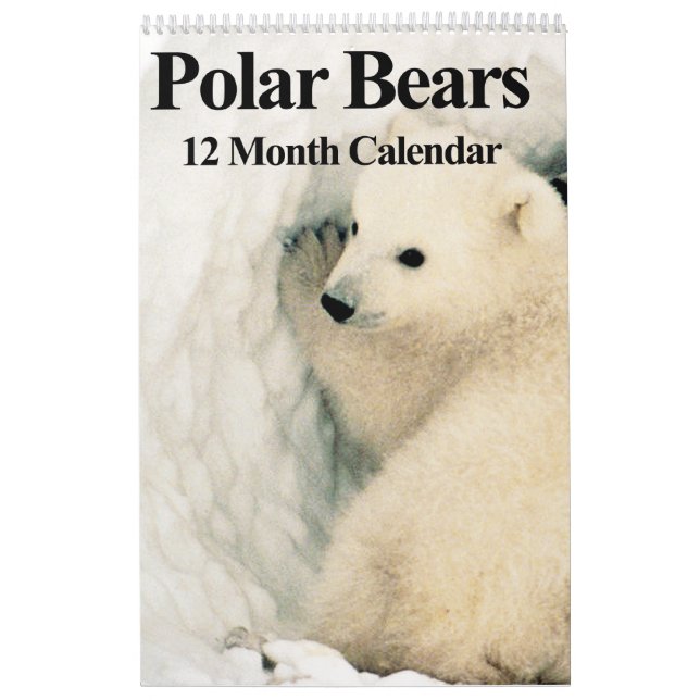Polarbären - 12-monatiger Kalender (Titelbild)