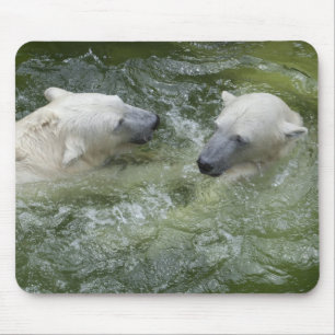 Polarbären schwimmen mousepad