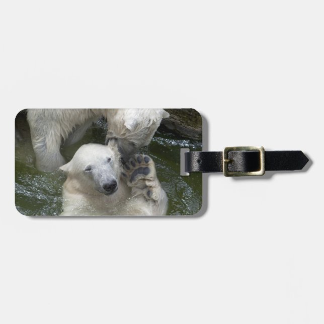 Polarbären spielen gepäckanhänger (Vorderseite horizontal)