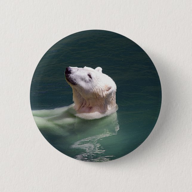 Polarbärenruhe Button (Vorderseite)