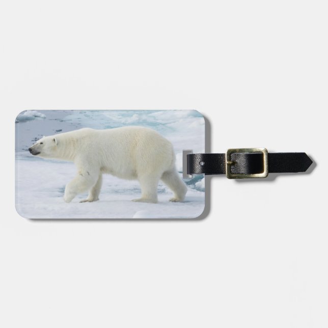 Polarbärenwanderung, Norwegen Gepäckanhänger (Vorderseite horizontal)