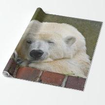 PolarBear20150501