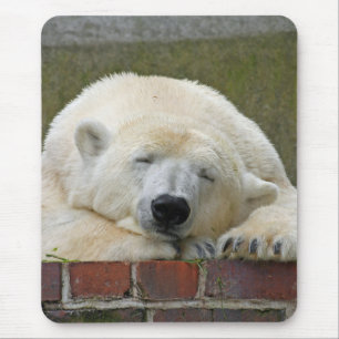 PolarBear 001 Mousepad