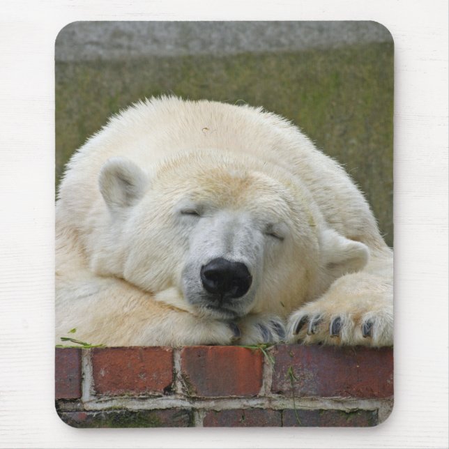 PolarBear 001 Mousepad (Vorne)