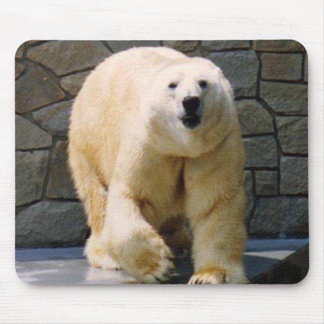 Polarbear Mousepad (Vorne)