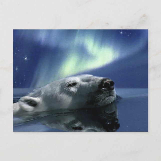 POLARBEAR Postkarte (Vorderseite)
