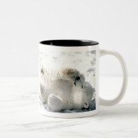 Polare Bärenjungs-Tasse