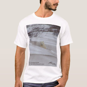 Polarer Bärn-T - Shirt 4 (Fronten- u.
