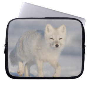 Polarfuchs, Alaska Laptopschutzhülle