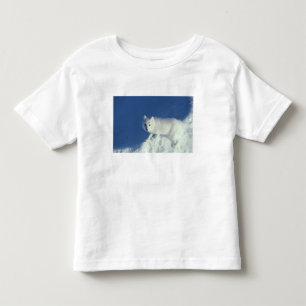 Polarfuchs Alopex lagopus) Ein Polarfuchs Kleinkind T-shirt
