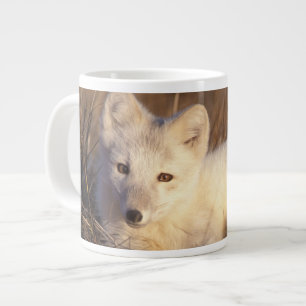 Polarfuchs, Alopex lagopus Jumbo-Tasse