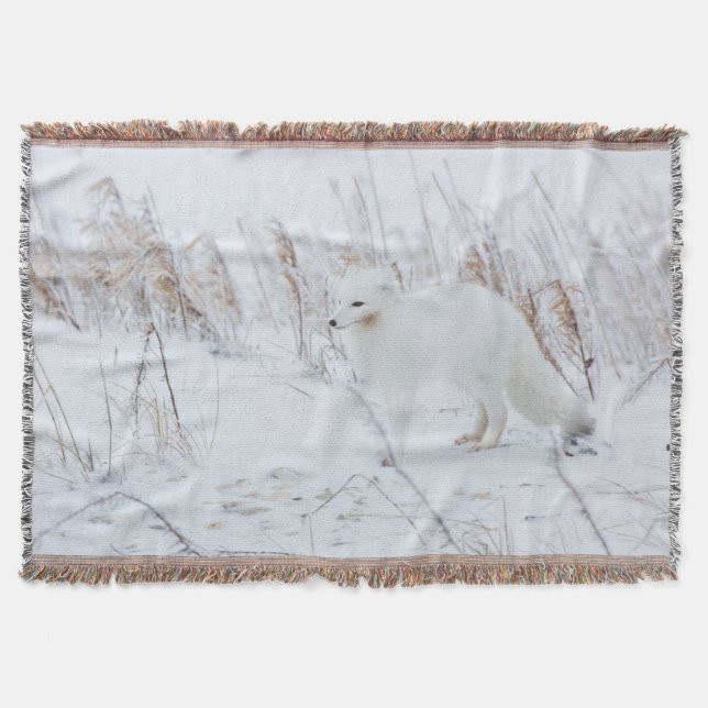 Polarfuchs Decke (Vorderseite)