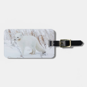 Polarfuchs Gepäckanhänger