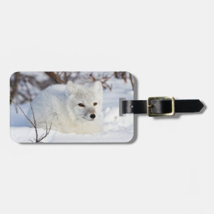 Polarfuchs im Winter Gepäckanhänger