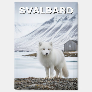 Polarfuchs in Svalbard Norwegen Magnet