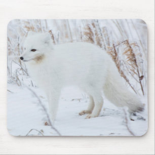 Polarfuchs Mousepad