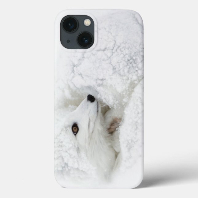 Polarfuchs zusammengerollt im Winter Case-Mate iPhone Hülle (Rückseite)