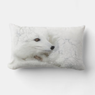 Polarfuchs zusammengerollt im Winter Lendenkissen