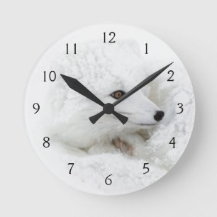 Polarfuchs zusammengerollt im Winter Runde Wanduhr