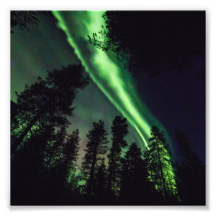 Polarlicht in Finnisch Lappland Fotodruck