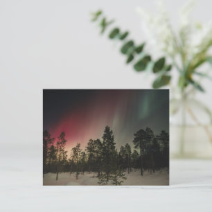 Polarlicht über verschneitem Wald  Postkarte