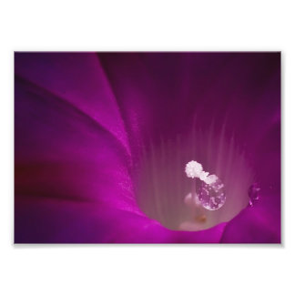 Polen Glitzer Fotodruck