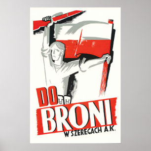 Polen WWII-Propagandaplakat Zu den Waffen in der Poster