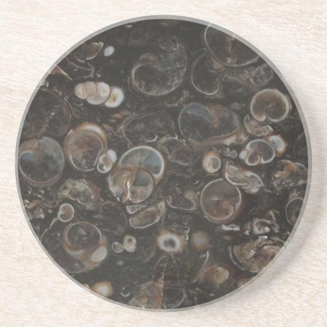 Polierter Rock Print (Turritella Agate) Untersetze Untersetzer (Vorne)