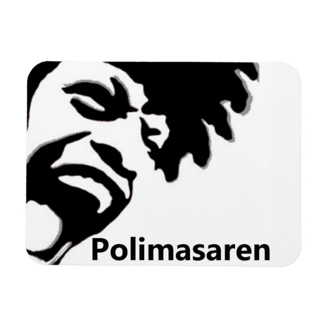 Polimasaren kylskåpsmagnet magnet (Horizontal)