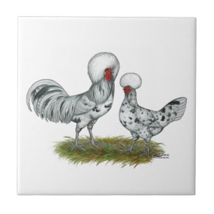 Polish Splash Chickens Fliese
