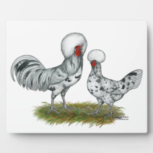Polish Splash Chickens Fotoplatte