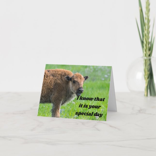 POLITE BABY BUFFALO SAGT: ***GLÜCKLICHER GEBURTSTA KARTE (Vorderseite)