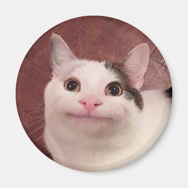 Polite Cat Meme Magnet (Vorne)